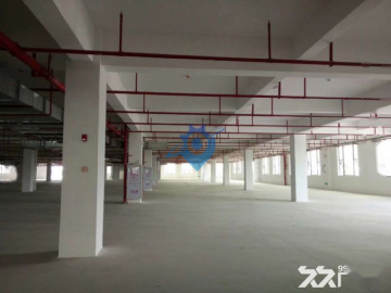 后溪工业组团附近标准1楼厂房1000平出租